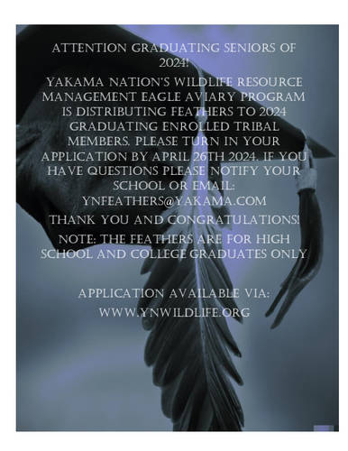 Eagle Feather applications for Graduating Seniors of 2024